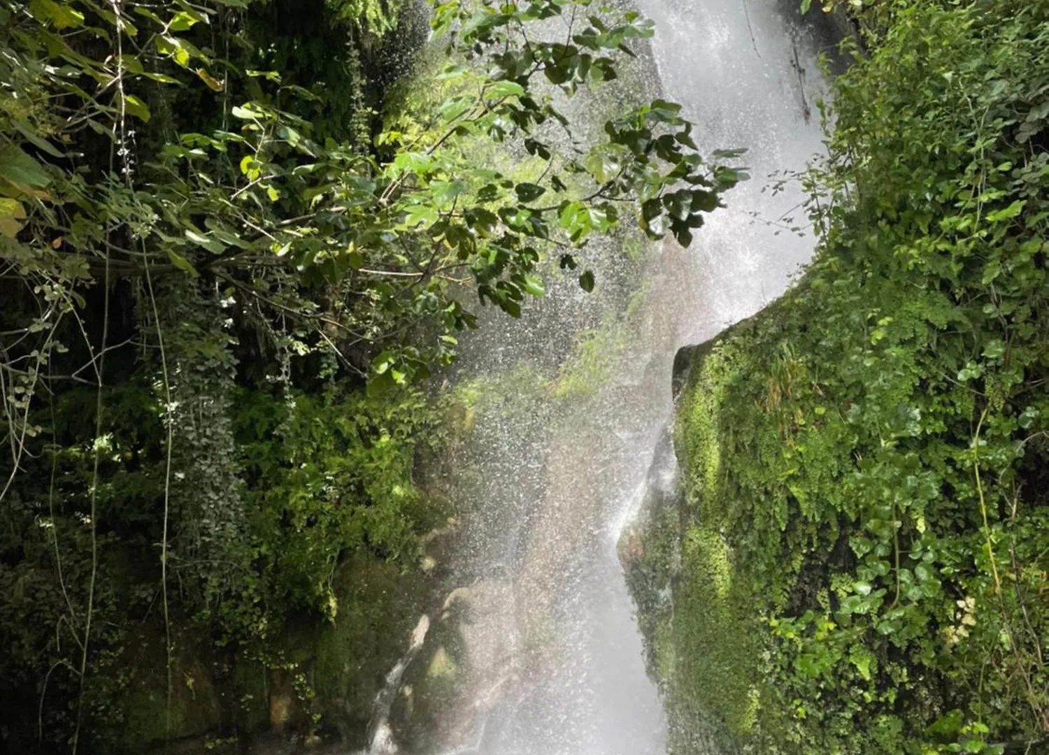 Vila Florika Hotel Borş